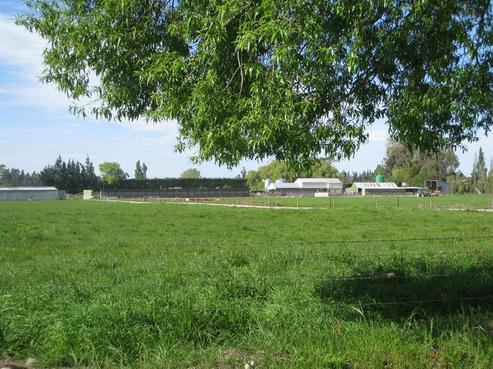 134 Plaskett Road, Fernside