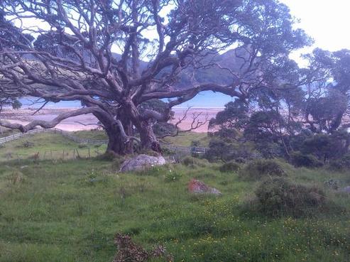 6 Workington Road, Great Barrier Island