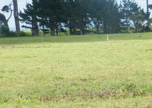 232 Oeo Road, Manaia