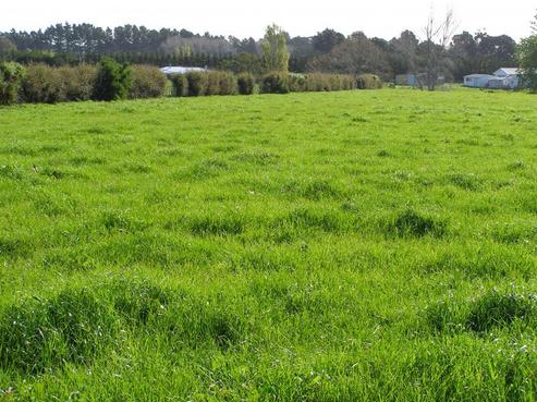 1328 Devon Road, Waitara