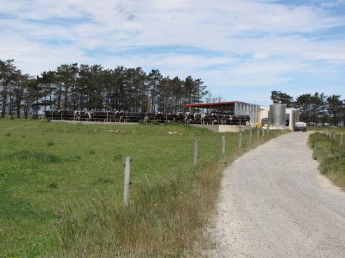 1091 Motu Rimu Road, Tisbury