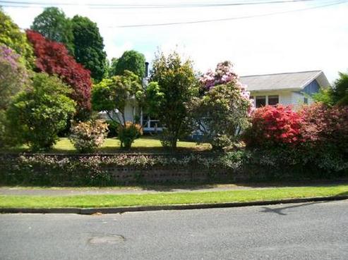 19 Bullians Avenue, Taumarunui