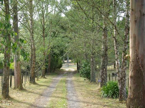 333 Whangamata Road, Kinloch