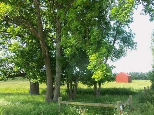 2952 Tram Road, West Eyreton
