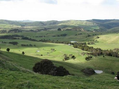 1738 Mangaorapa Road, Mangaorapa