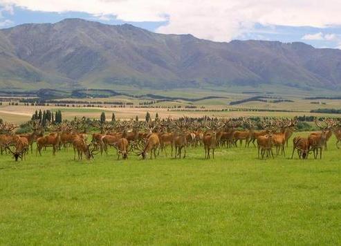 1883 Meyers Pass Road, Hakataramea Valley