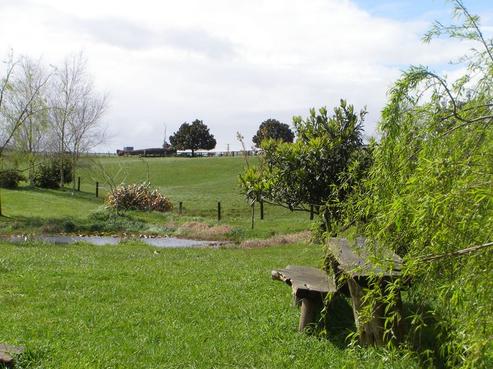 229 Hutchinson Road, Richmond Downs