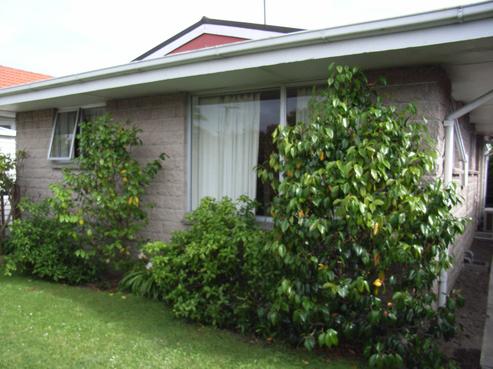 25A Tennyson Street, Sydenham
