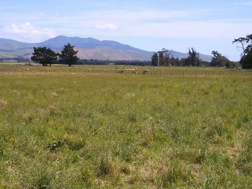 9 Ferry Road, Martinborough