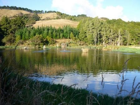 1239 Whangaripo Valley Road, Whangaripo