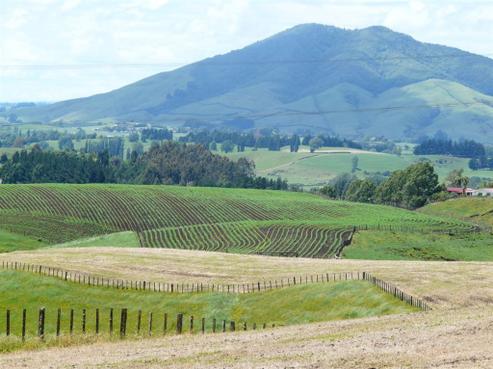 156 Owaikura Road, Otorohanga