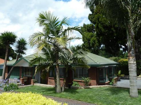 19 Butterworth Avenue, Opaheke