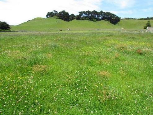 894 Rapanui Road, Kai Iwi