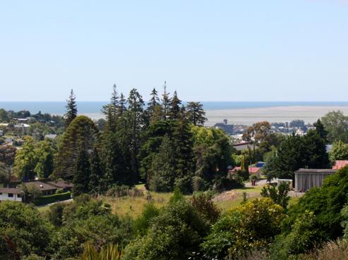 7 Blampied Place, Nelson South