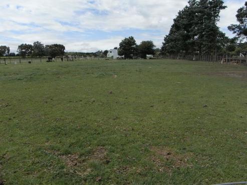 7 Ferry Road, Martinborough