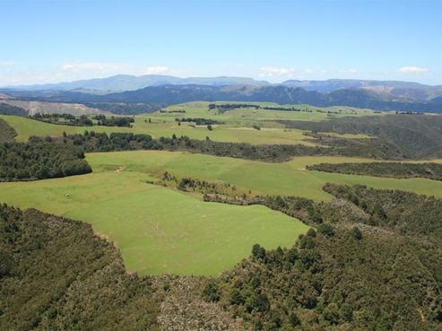 1671 Pakaututu Road, Puketitiri
