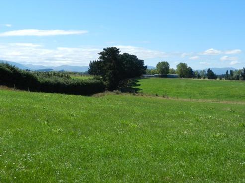 409 Springbank Road, Swannanoa