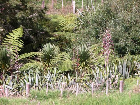 173 Te Toiroa Road, Ngunguru