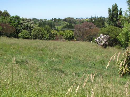 185 Mount View Road, Bastia Hill