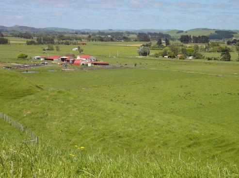 339 Range Road, Woodville