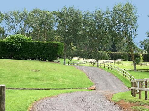 41 Smeaton Road, Glenbrook