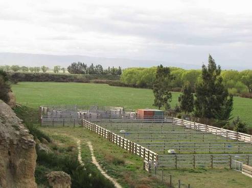 1675 Maniototo Road, Ranfurly
