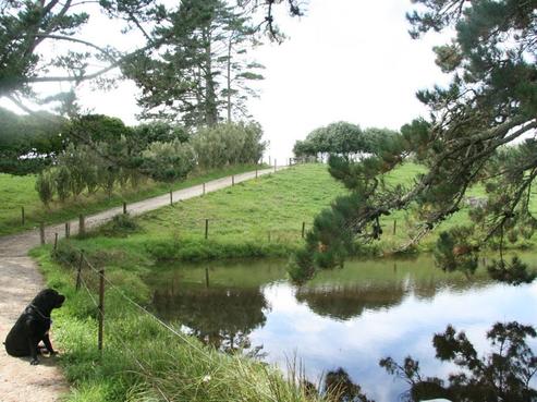 466 Waitakere Road, Taupaki