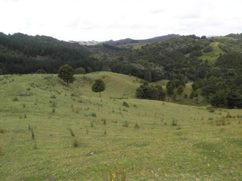 195 Pekerau Road, Karikari Peninsula