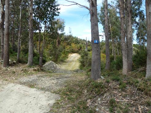 6 Alpine Meadows Drive, St Arnaud