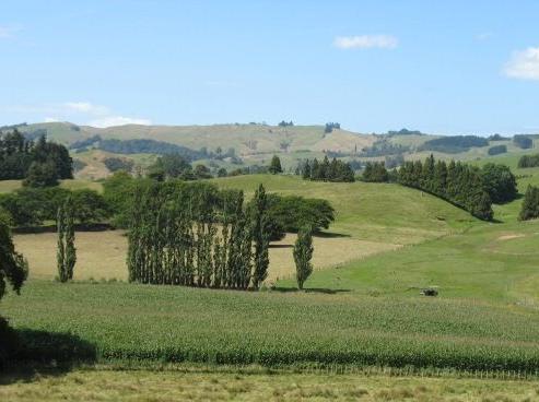 196 Whitehall Road, Karapiro