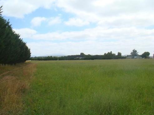 267 Lehmans Road, Fernside