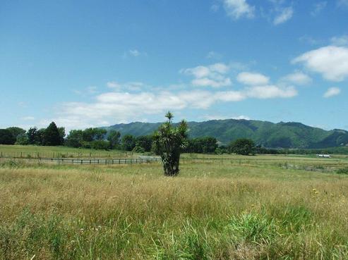 120 King Arthur Drive, Otaihanga