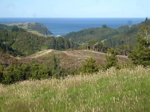 56 Stoney Knowe, Oakura Coast