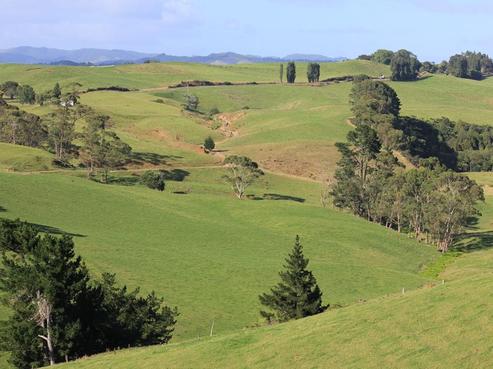 120 Ngutunui Road, Pirongia