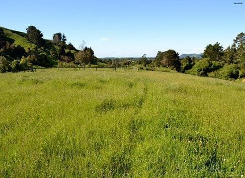 124 Mickell Road, Otaki