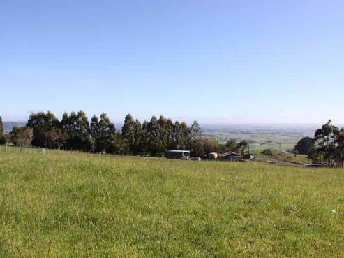 454 Corcoran Road, Te Pahu