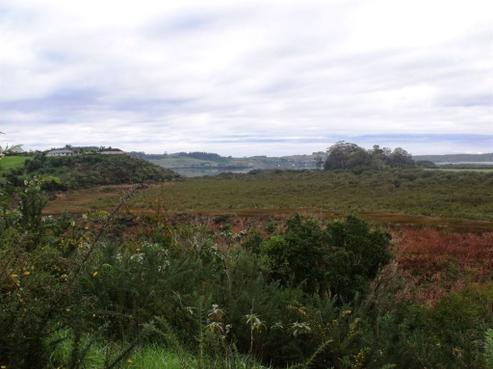 299A Kerikeri Inlet Road, Kerikeri