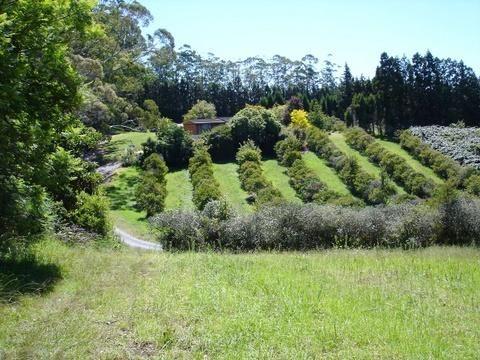 372 Kerikeri Road, Kerikeri
