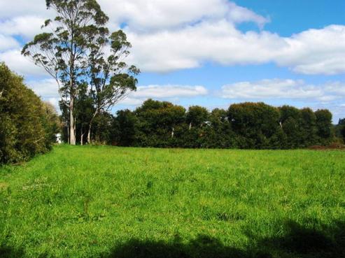 11 Keridale Lane, Kerikeri