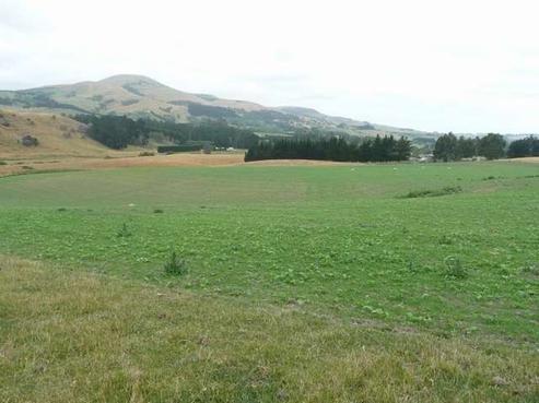42 Mountain Road, East Otago