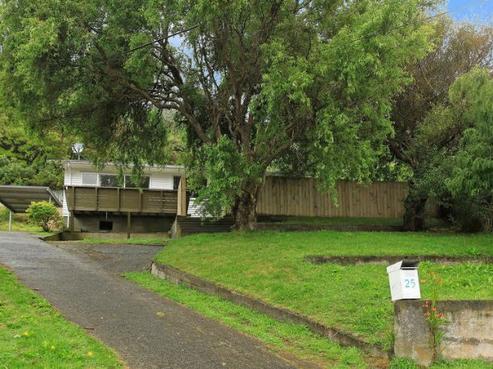 25 Holmes Grove, Naenae
