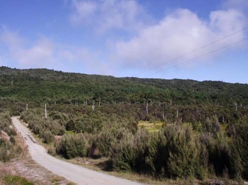 3216 Korere-tophouse Road, St Arnaud