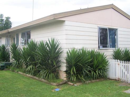3B College Place, Poike