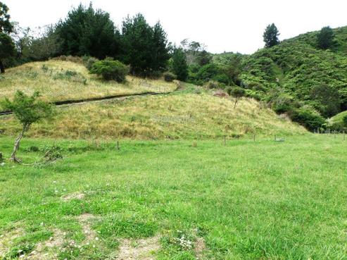 295 Tirohanga Road, Opotiki and Surrounds