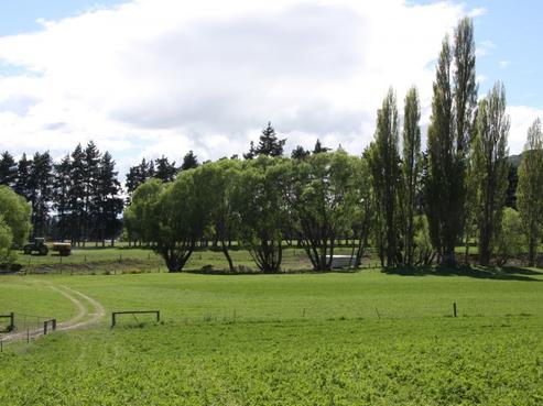 402 Lowry Peaks Road, Culverden