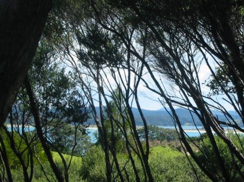 99 Whangaumu Street, Tutukaka