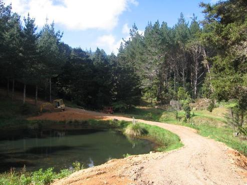 302 Waiotoi Road, Ngunguru