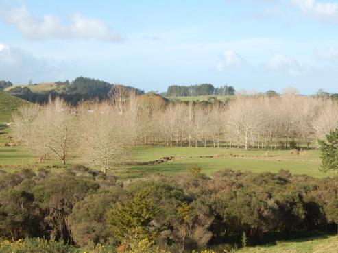 68A Kaipara Flats Road, Warkworth