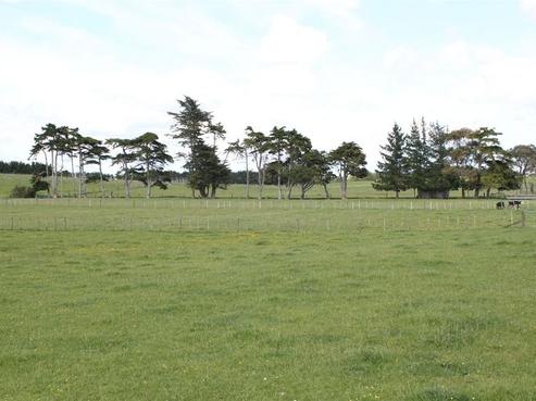 135 Hamlin Road, Ardmore