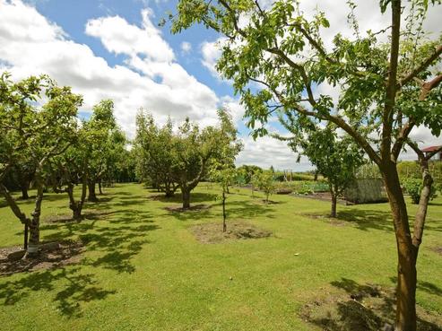 41 Haggitt Street, Feilding
